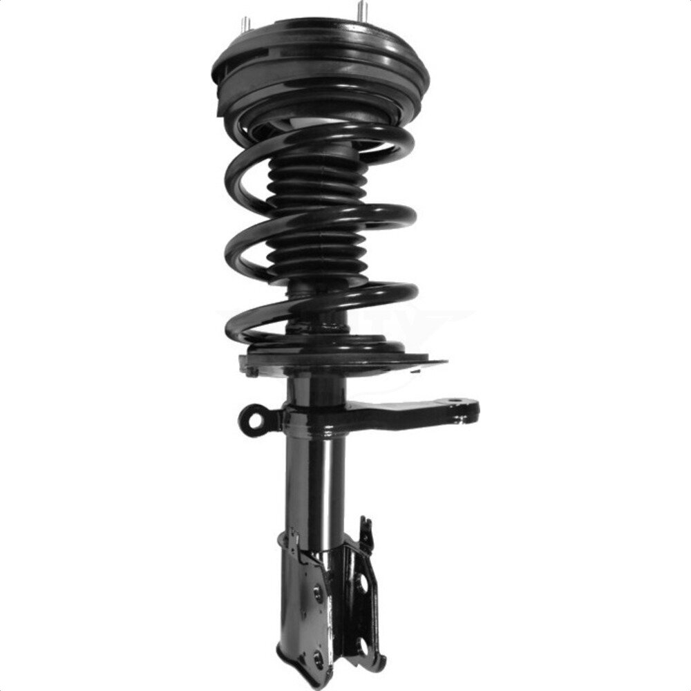 Suspension Strut Coil Spring Assembly