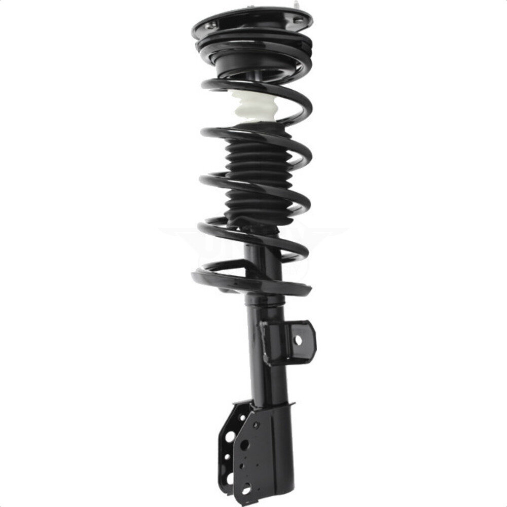 Suspension Strut Coil Spring Assembly
