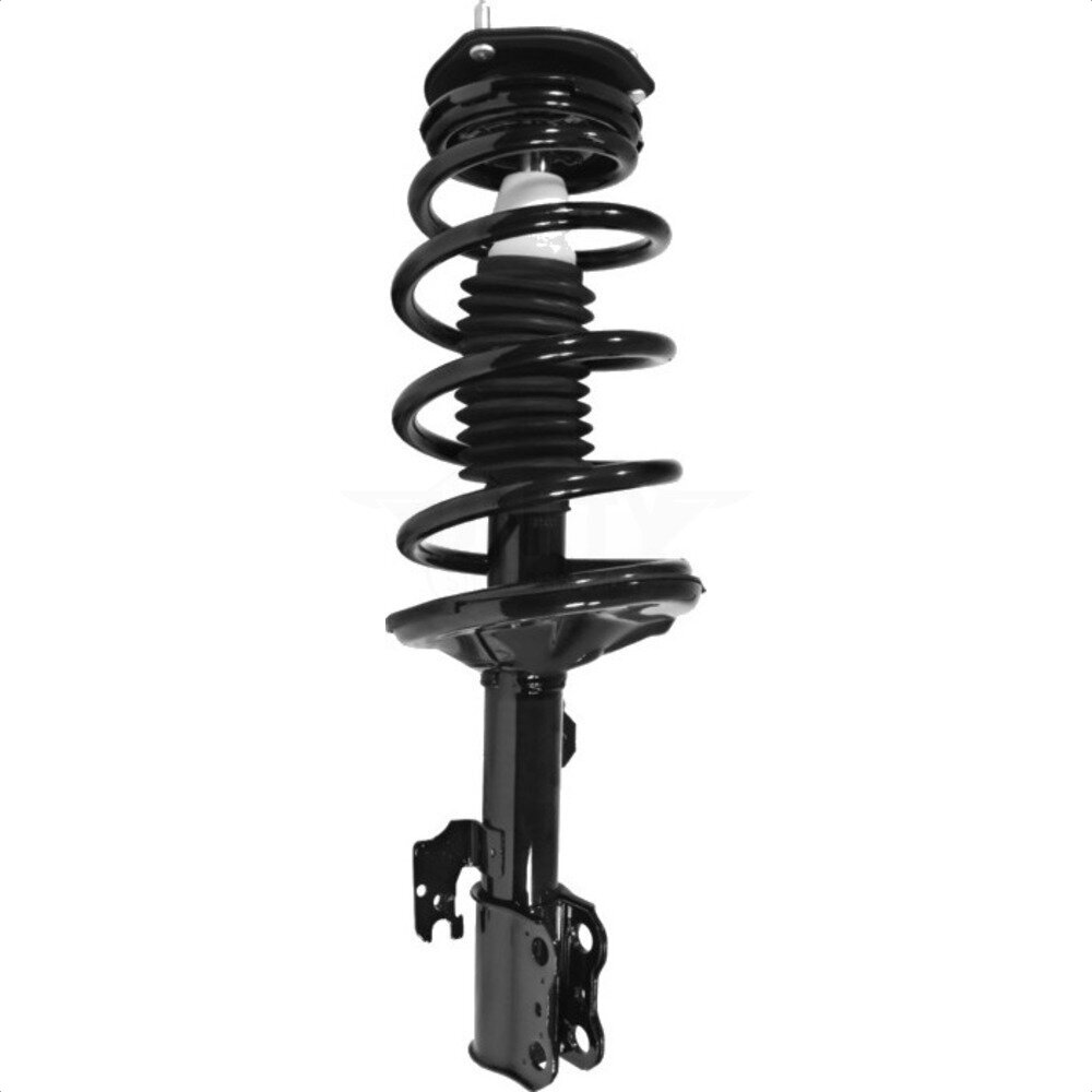 Suspension Strut Coil Spring Assembly