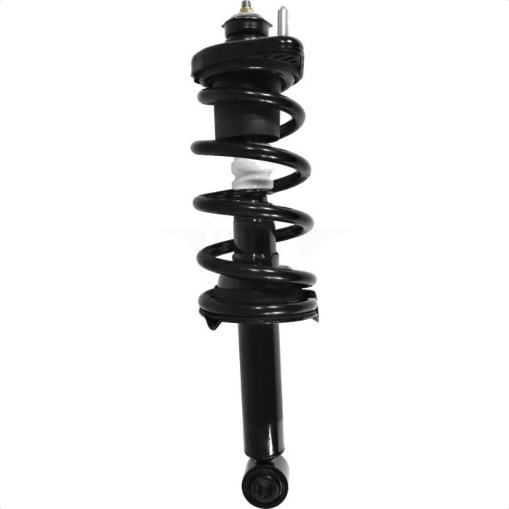 Suspension Strut Coil Spring Assembly