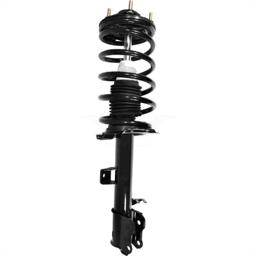 Suspension Strut Coil Spring Assembly