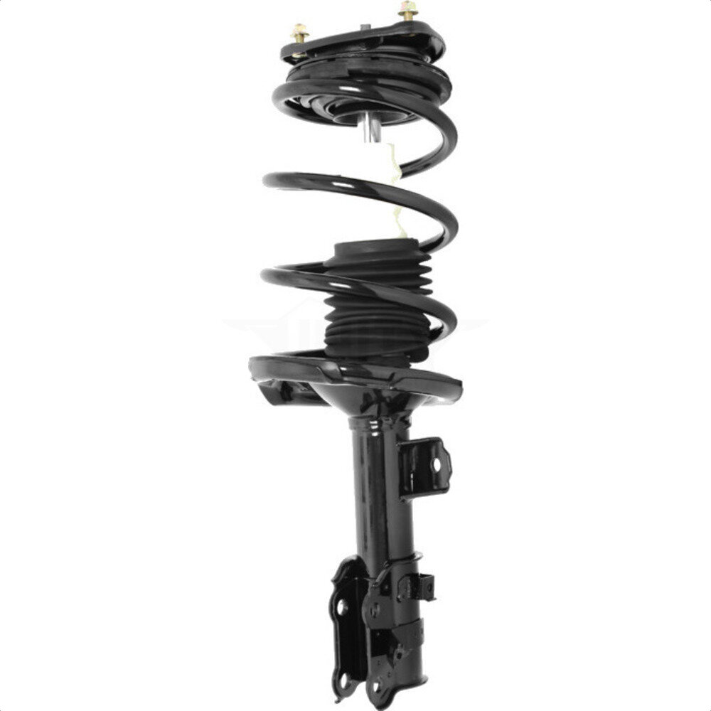 Suspension Strut Coil Spring Assembly