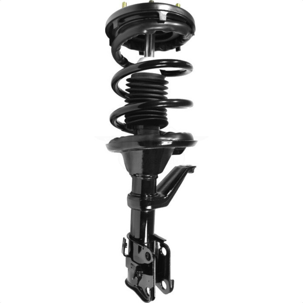 Suspension Strut Coil Spring Assembly