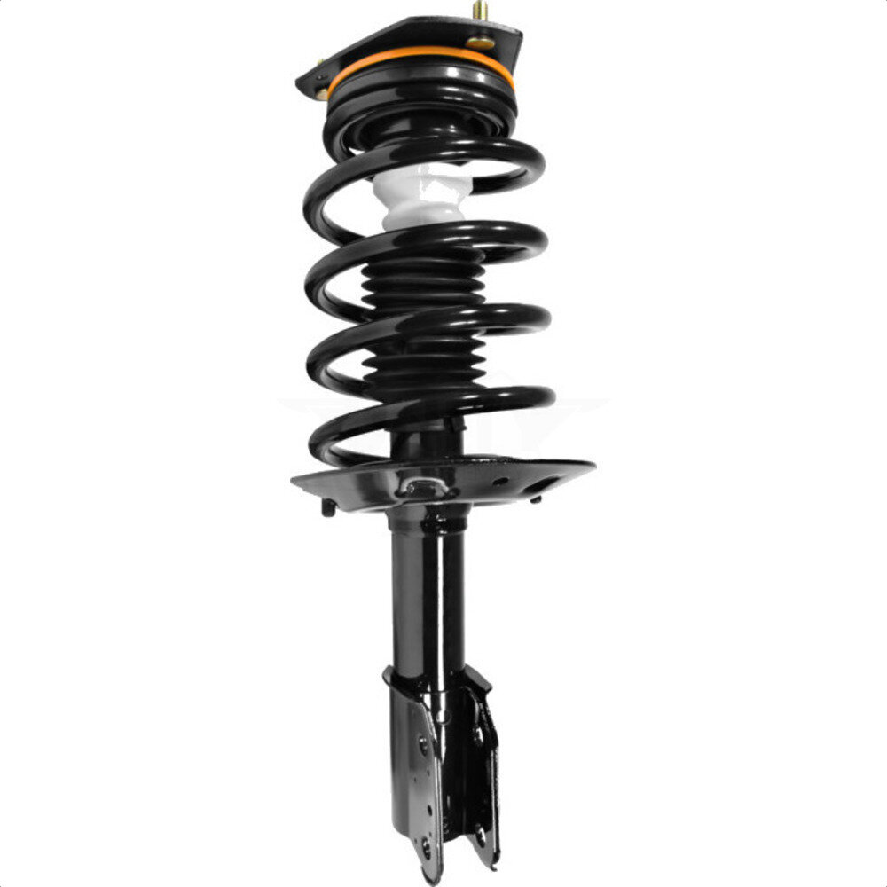 Suspension Strut Coil Spring Assembly