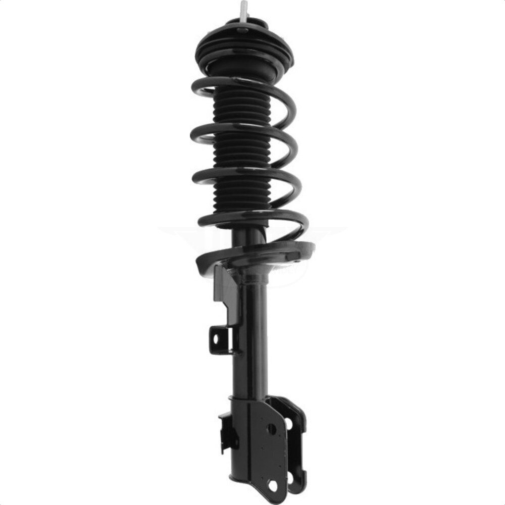Suspension Strut Coil Spring Assembly