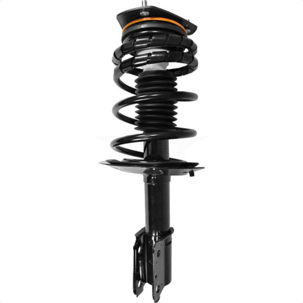 Suspension Strut Coil Spring Assembly