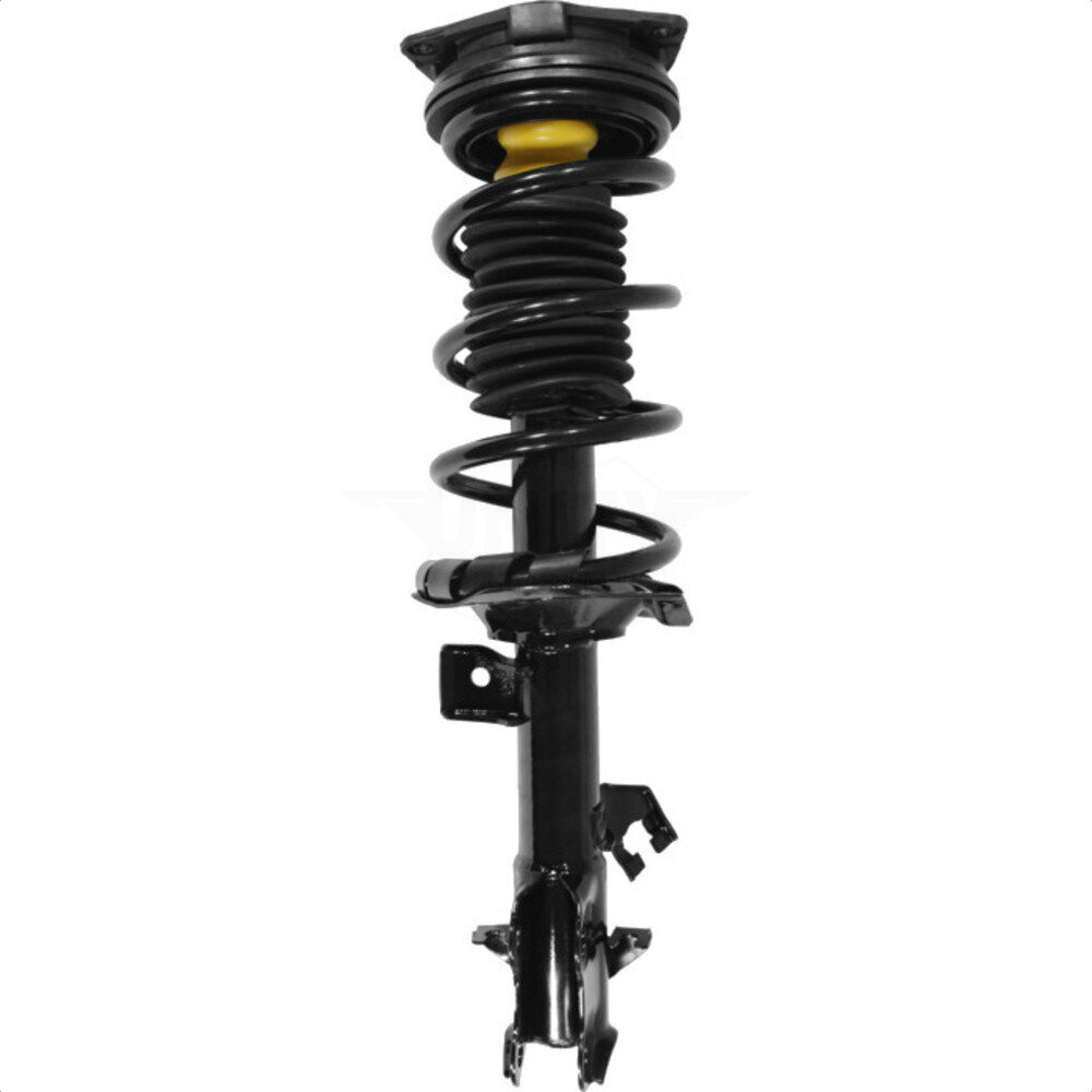 Suspension Strut Coil Spring Assembly