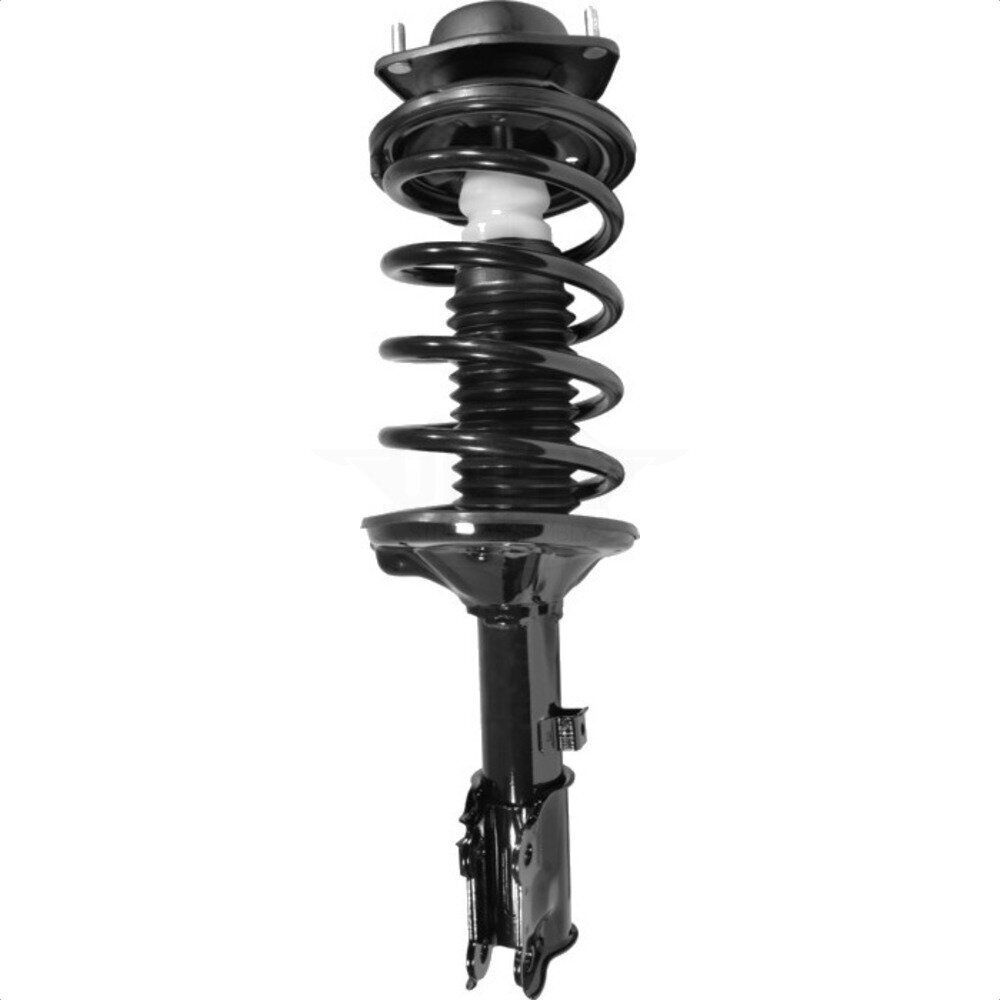 Suspension Strut Coil Spring Assembly