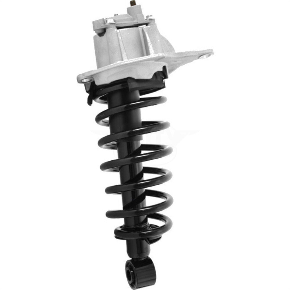 Suspension Strut Coil Spring Assembly