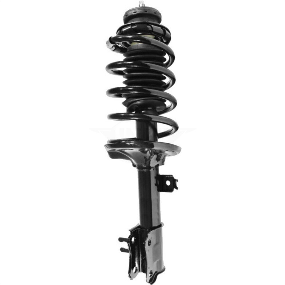 Suspension Strut Coil Spring Assembly