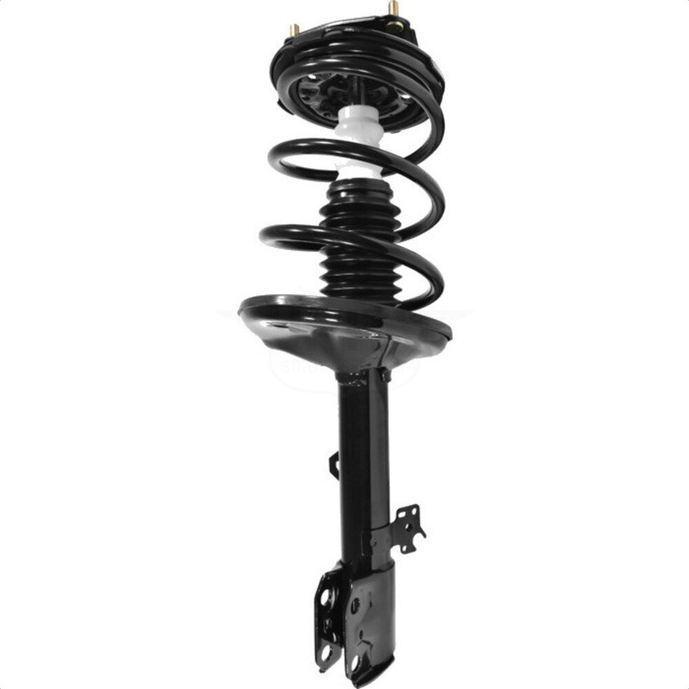 Suspension Strut Coil Spring Assembly