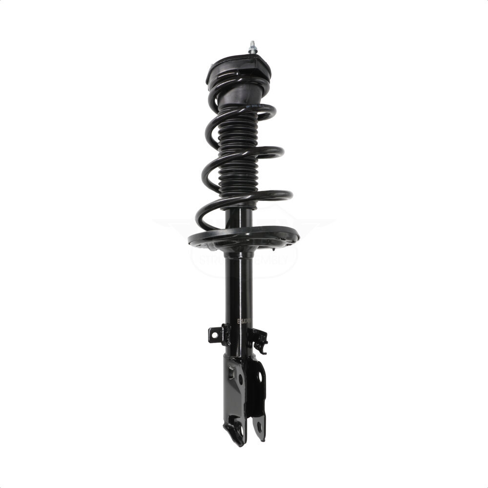 Suspension Strut Coil Spring Assembly