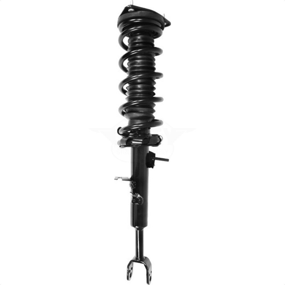 Suspension Strut Coil Spring Assembly
