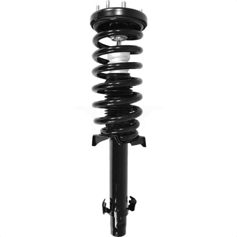 Suspension Strut Coil Spring Assembly