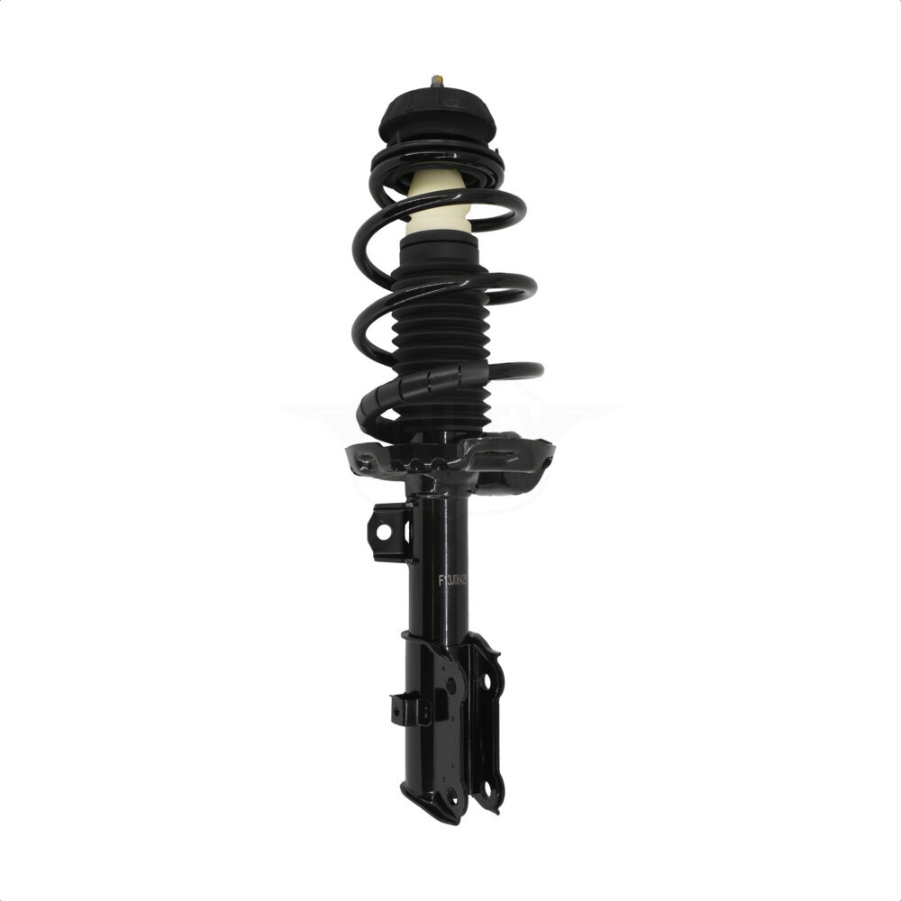 Suspension Strut Coil Spring Assembly