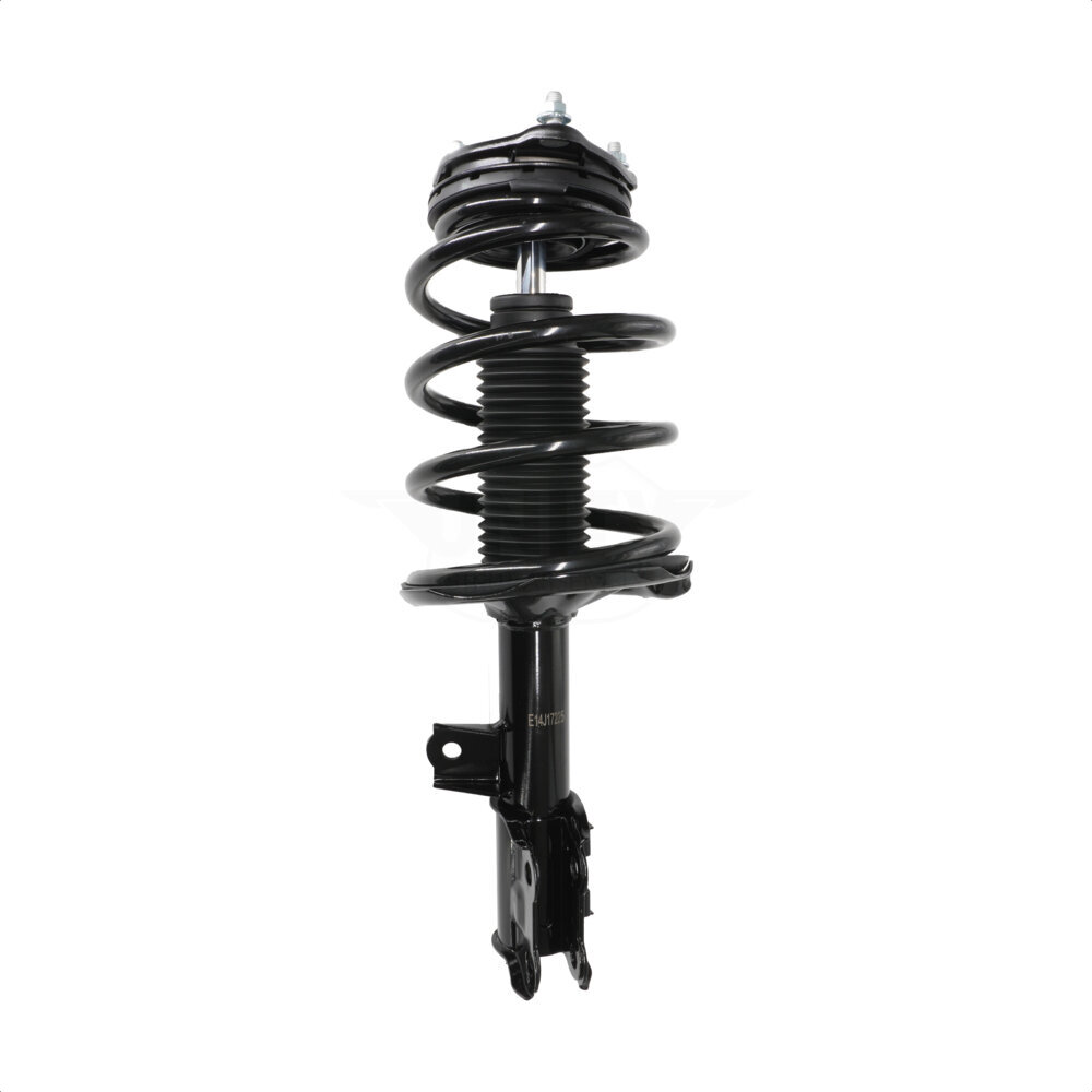 Suspension Strut Coil Spring Assembly