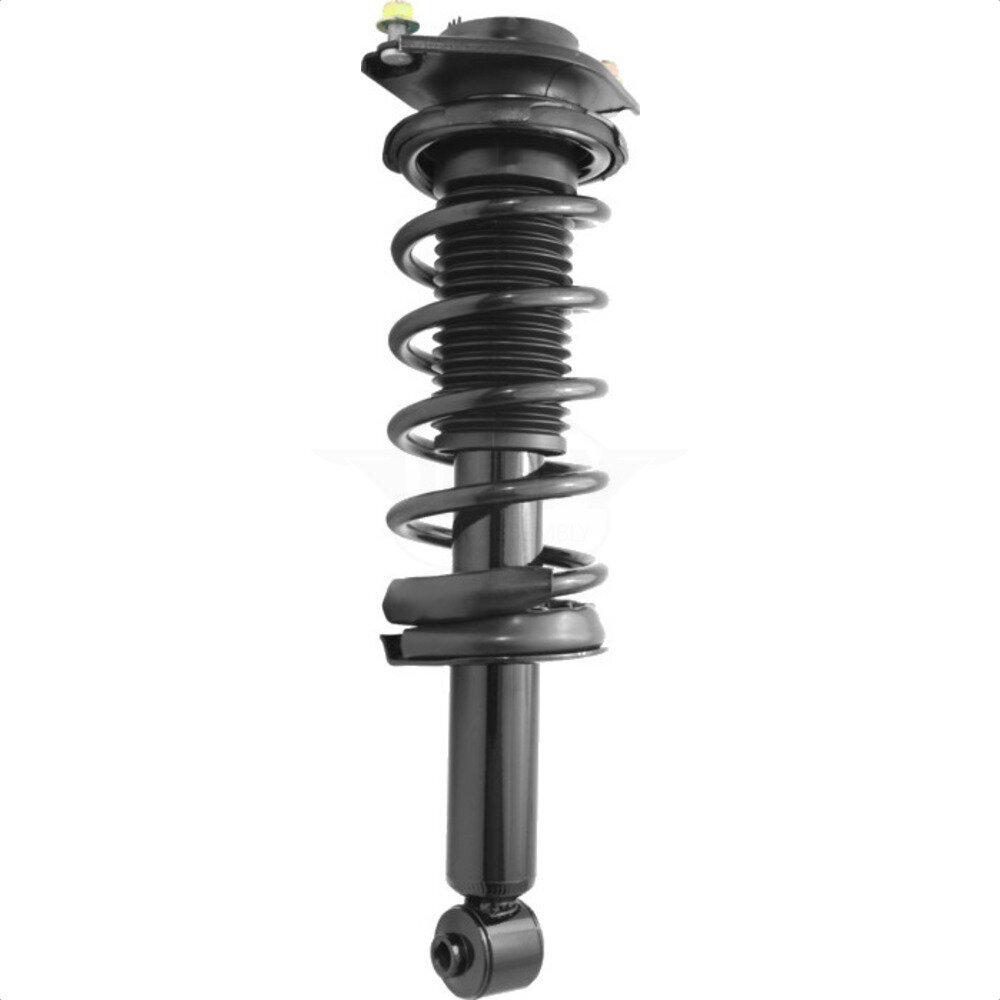 Suspension Strut Coil Spring Assembly