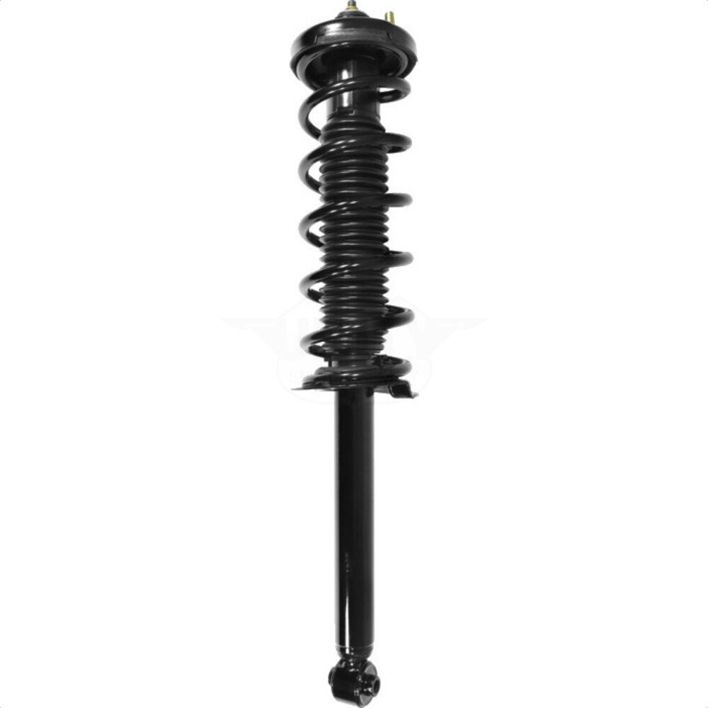 Suspension Strut Coil Spring Assembly