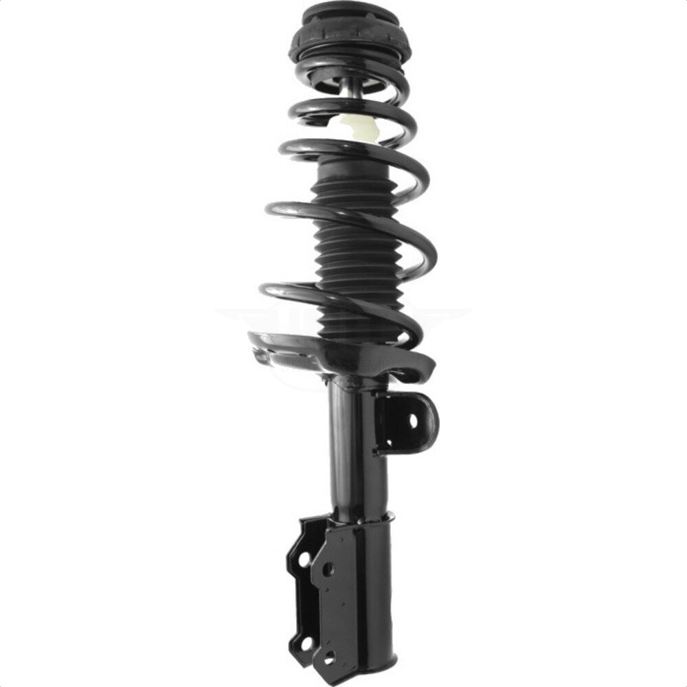 Suspension Strut Coil Spring Assembly