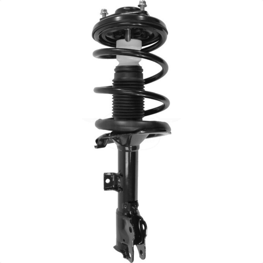 Suspension Strut Coil Spring Assembly