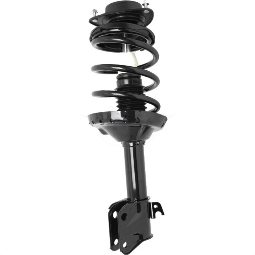 Suspension Strut Coil Spring Assembly