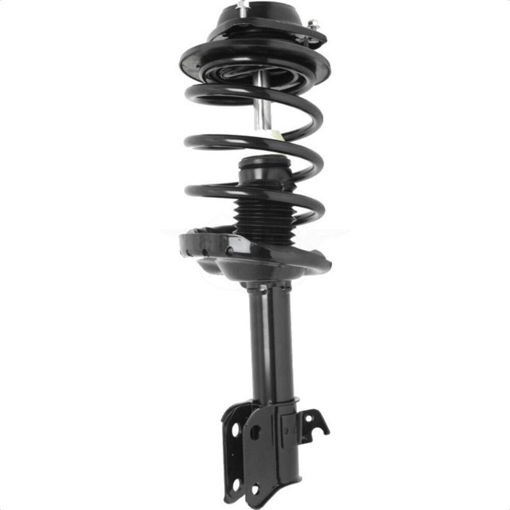 Suspension Strut Coil Spring Assembly