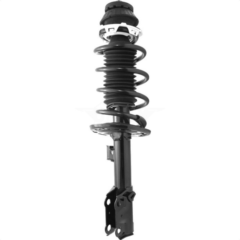 Suspension Strut Coil Spring Assembly