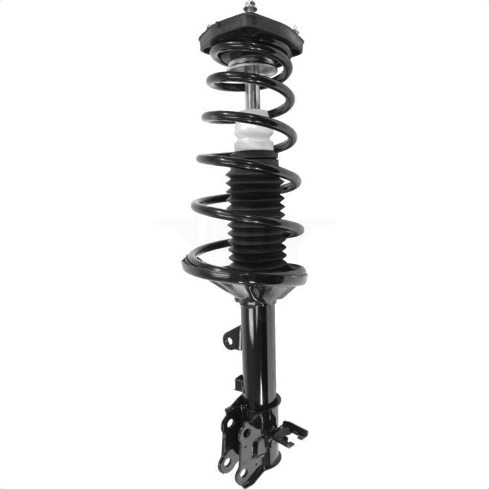 Suspension Strut Coil Spring Assembly