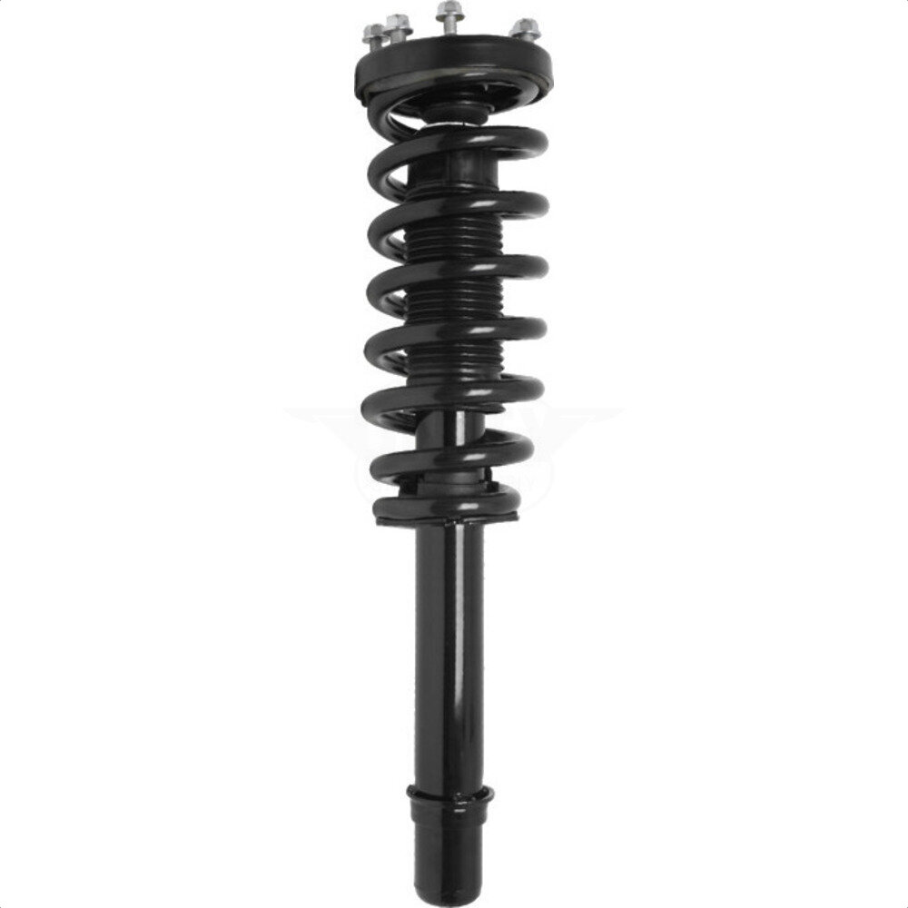 Suspension Strut Coil Spring Assembly