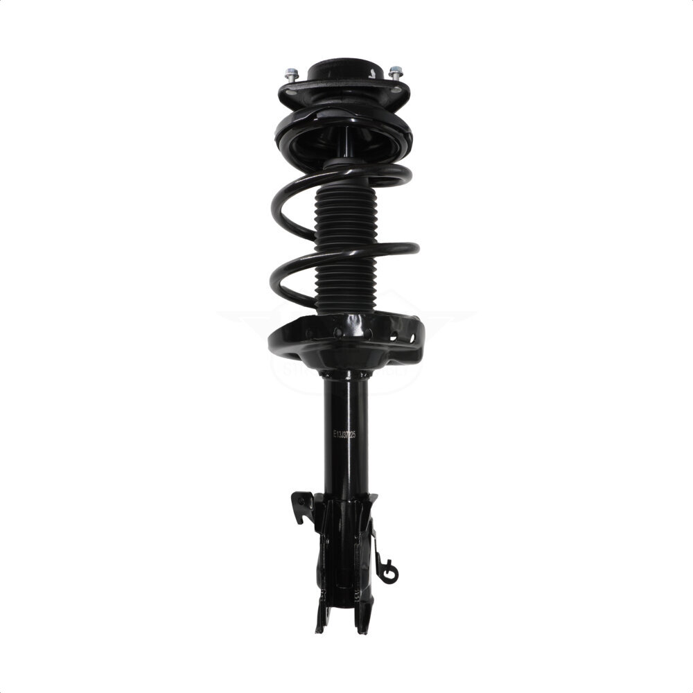 Suspension Strut Coil Spring Assembly