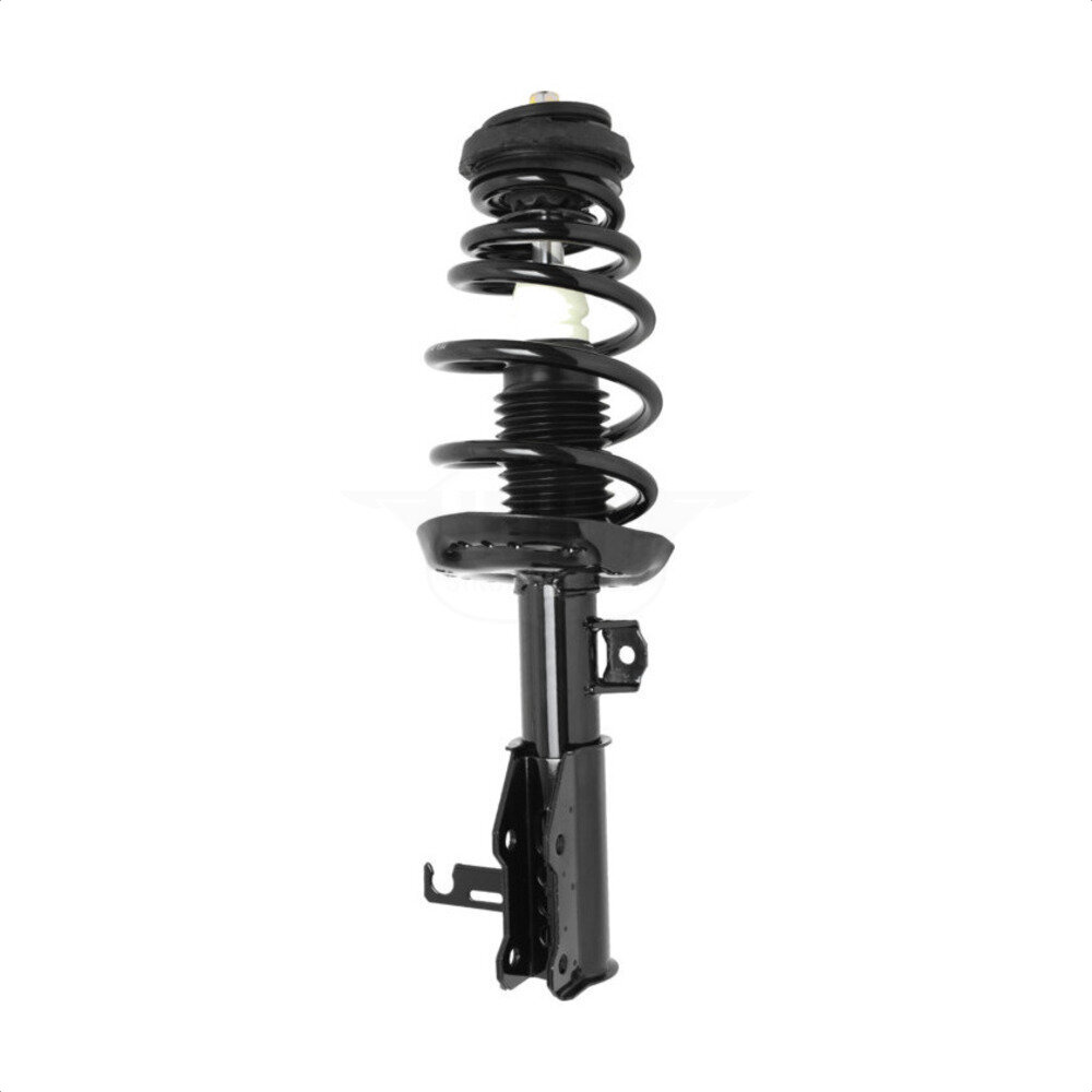 Suspension Strut Coil Spring Assembly