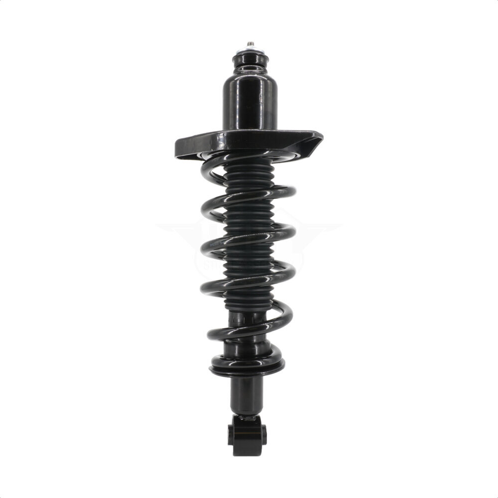 Suspension Strut Coil Spring Assembly