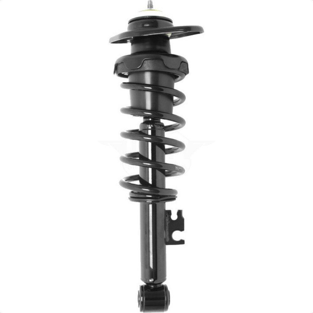 Suspension Strut Coil Spring Assembly