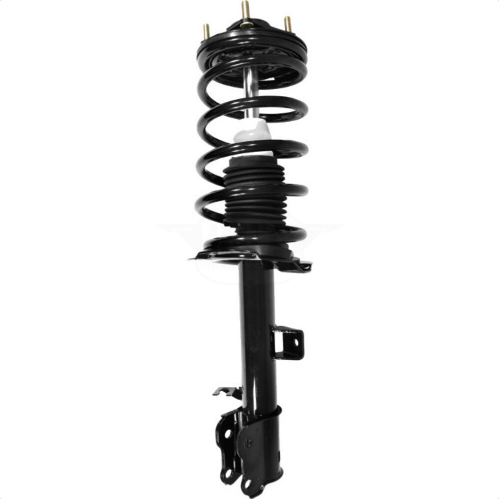 Suspension Strut Coil Spring Assembly