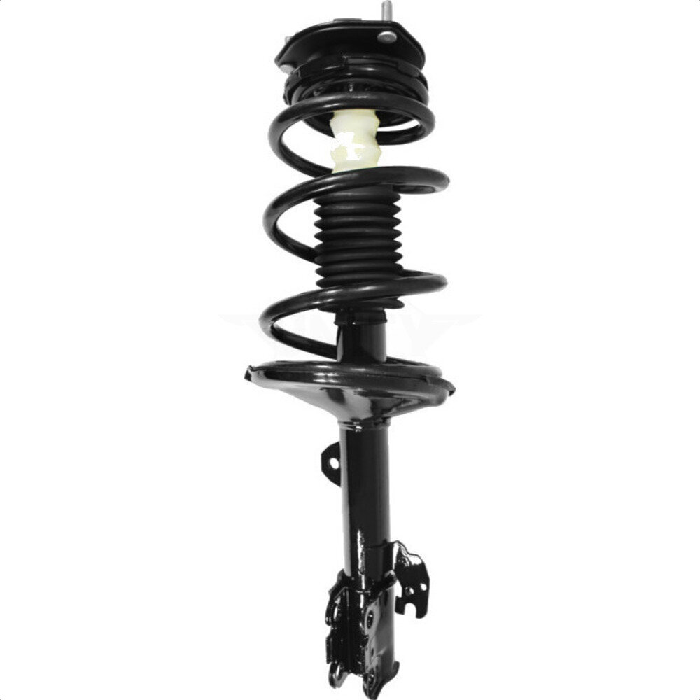 Suspension Strut Coil Spring Assembly