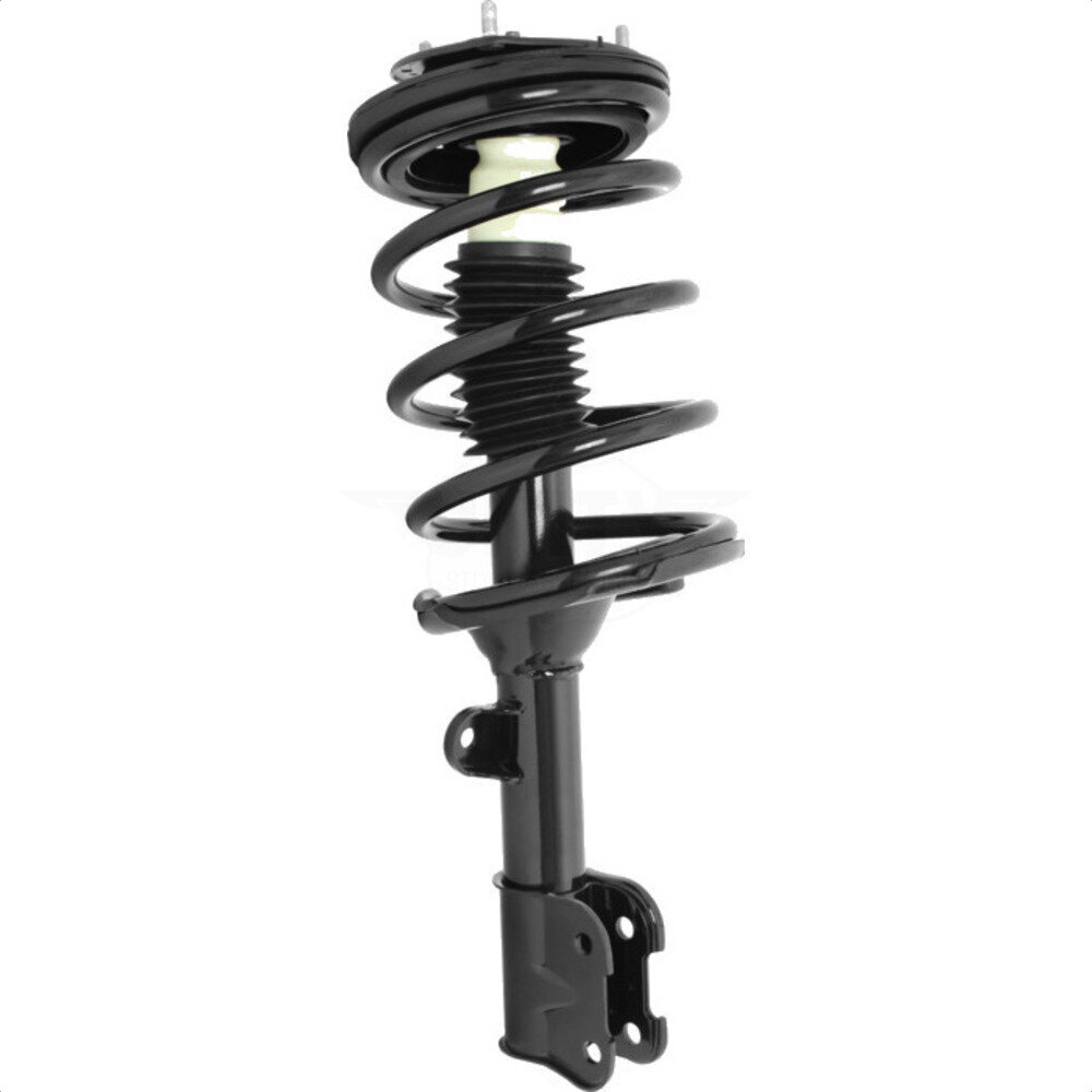 Suspension Strut Coil Spring Assembly