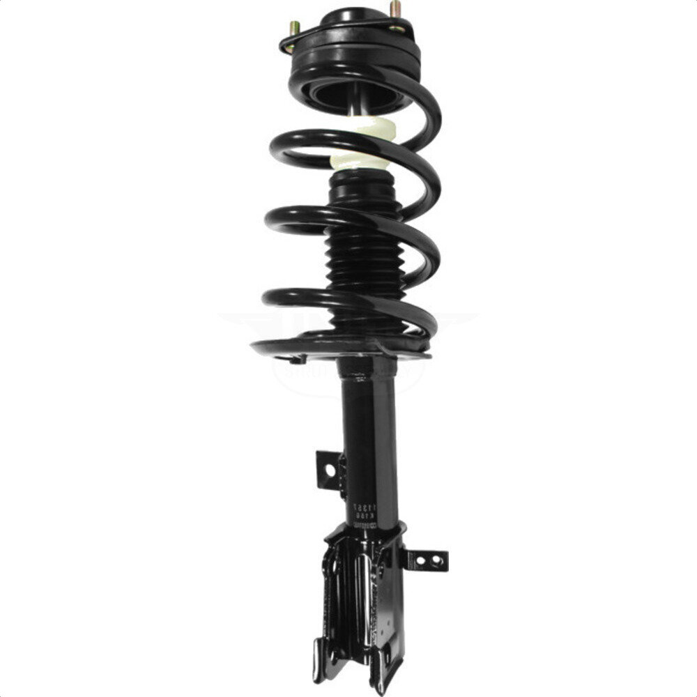 Suspension Strut Coil Spring Assembly