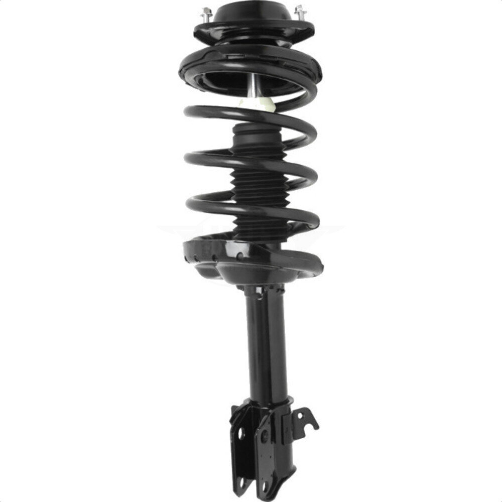 Suspension Strut Coil Spring Assembly