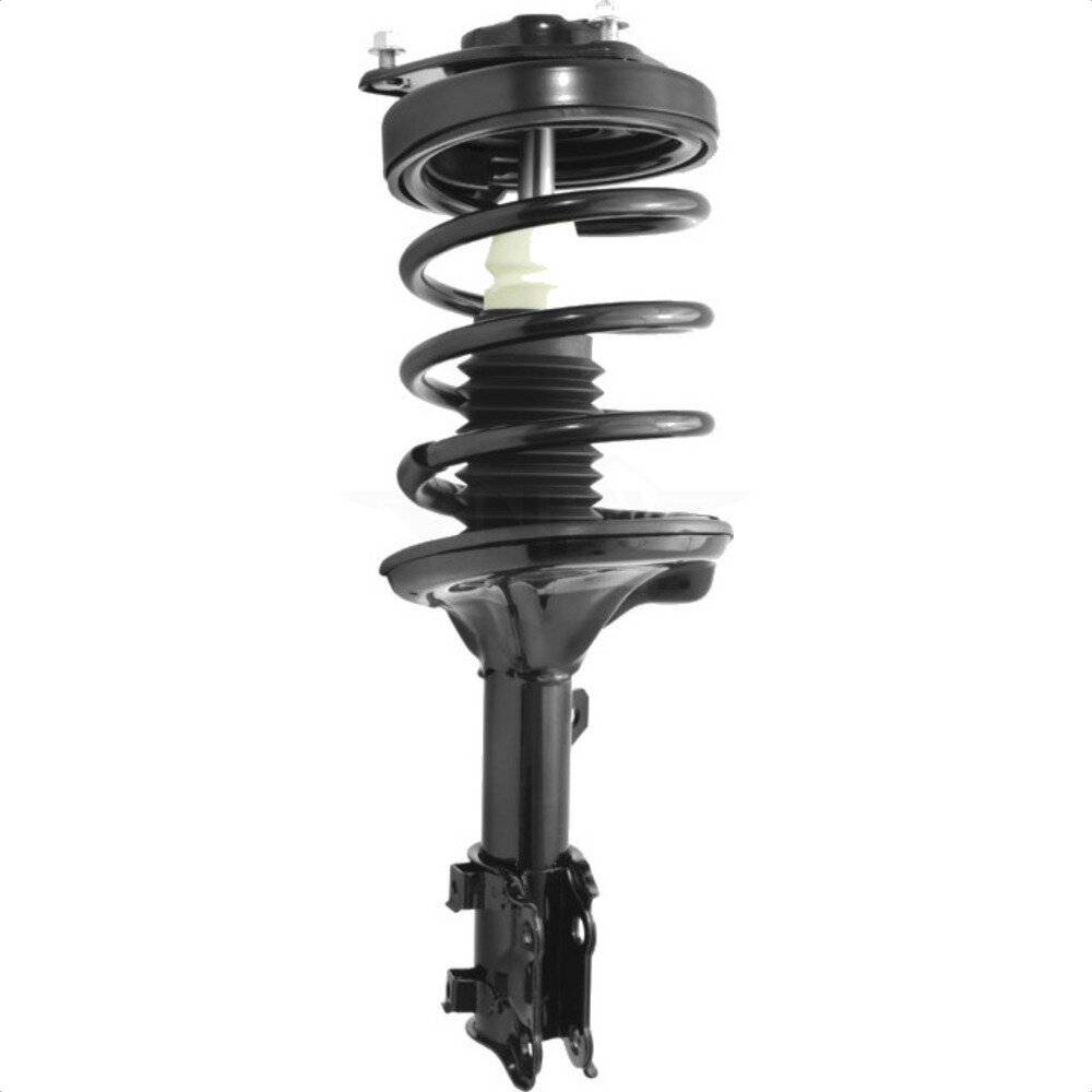 Suspension Strut Coil Spring Assembly