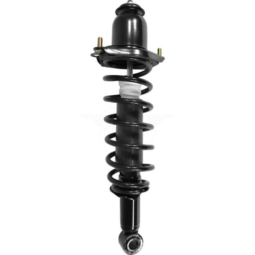 Suspension Strut Coil Spring Assembly