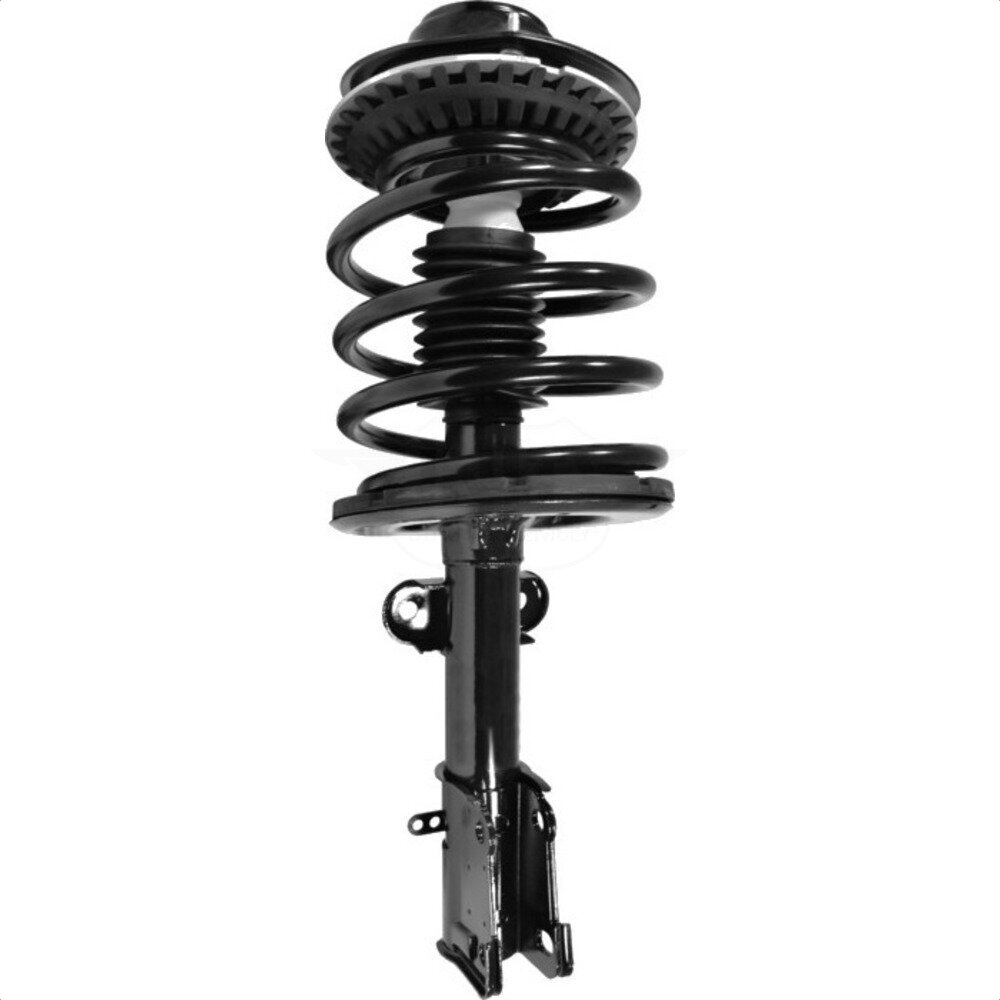 Suspension Strut Coil Spring Assembly