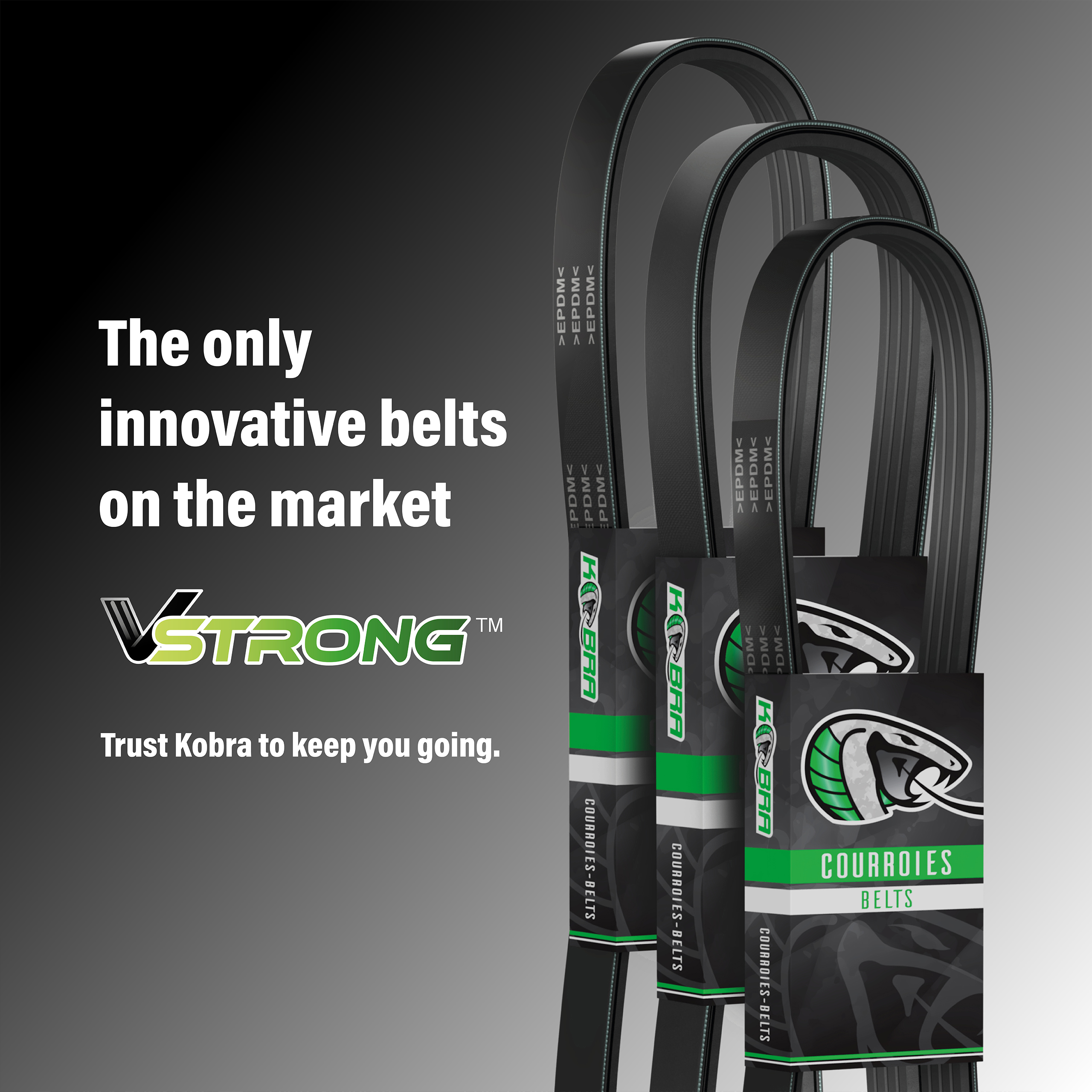 Kobra - KBR-5050650 - Serpentine Belt