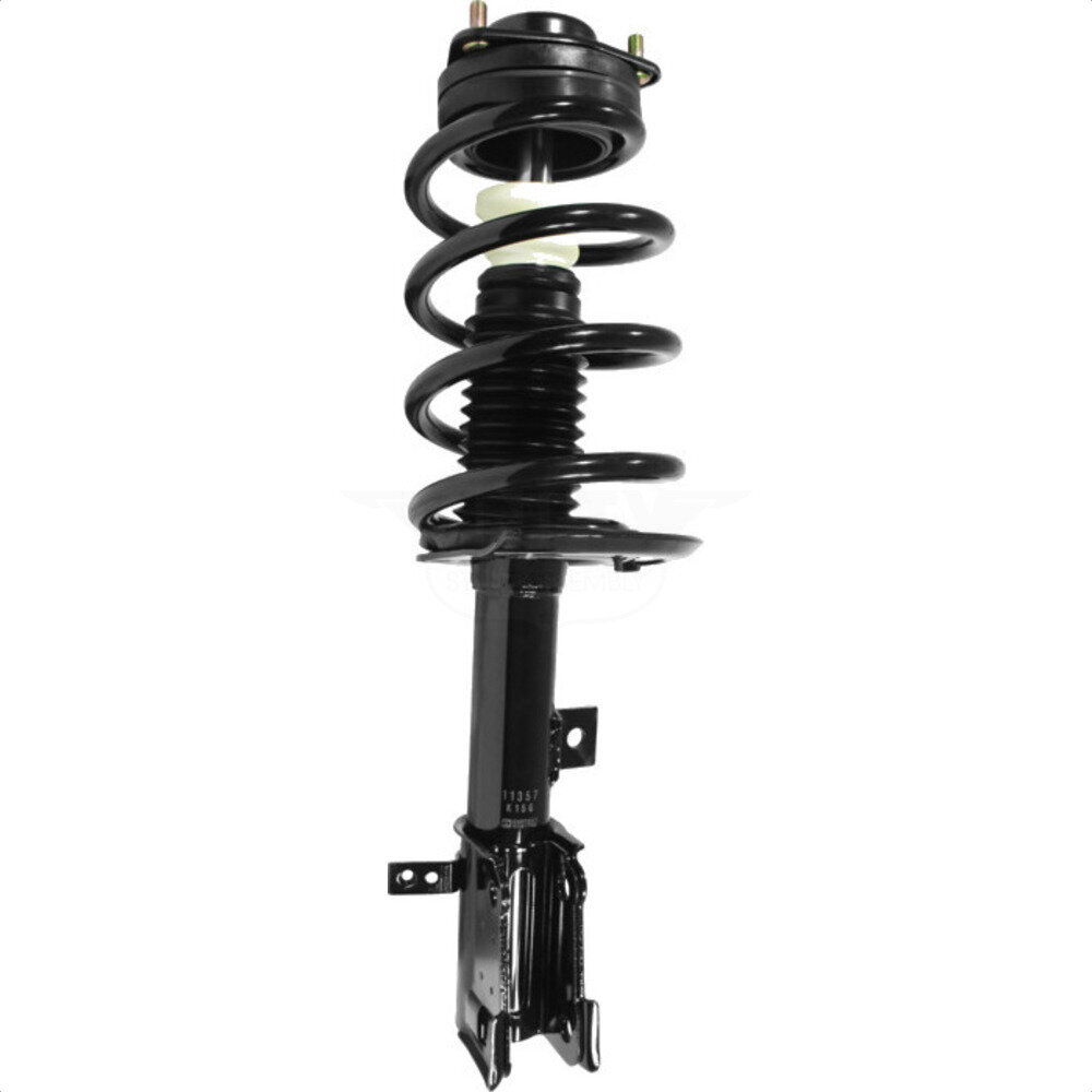 Suspension Strut Coil Spring Assembly