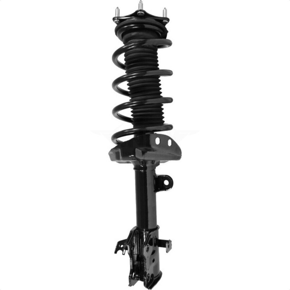 Suspension Strut Coil Spring Assembly