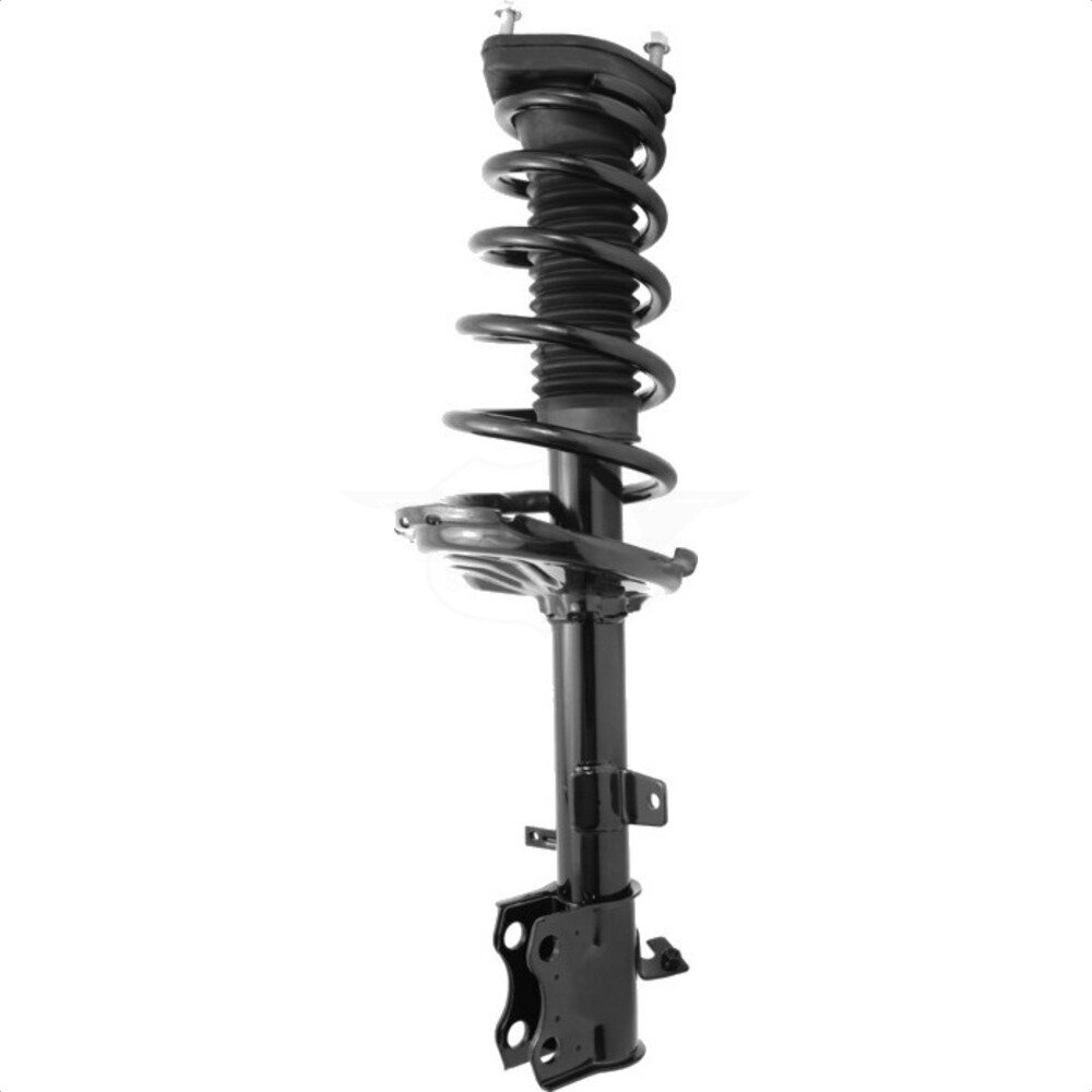 Suspension Strut Coil Spring Assembly