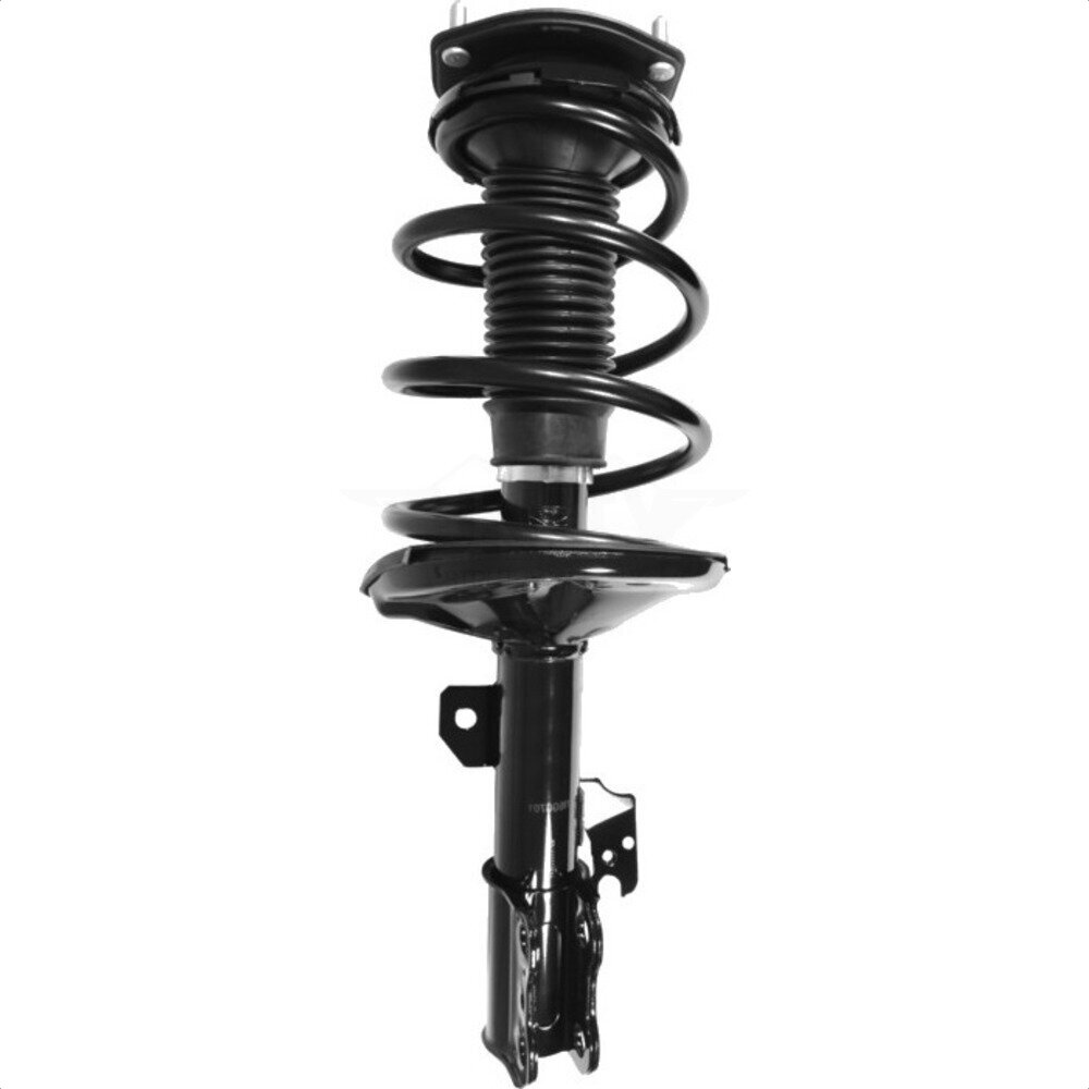 Suspension Strut Coil Spring Assembly