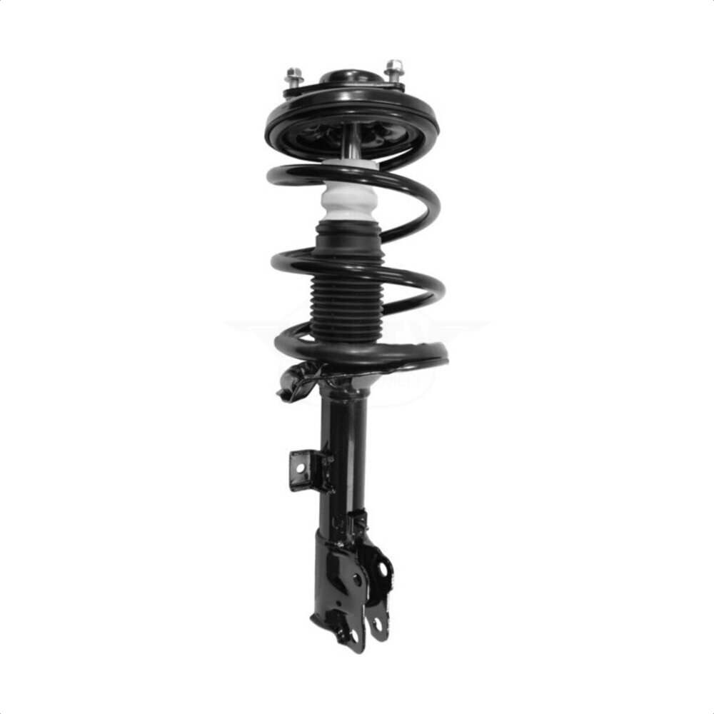 Suspension Strut Coil Spring Assembly