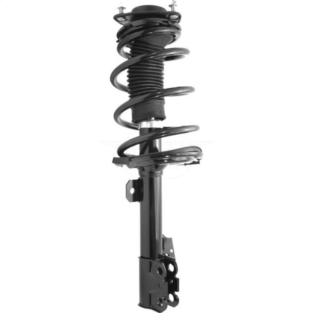 Suspension Strut Coil Spring Assembly