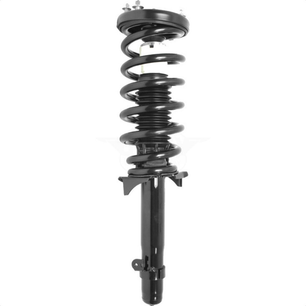 Suspension Strut Coil Spring Assembly