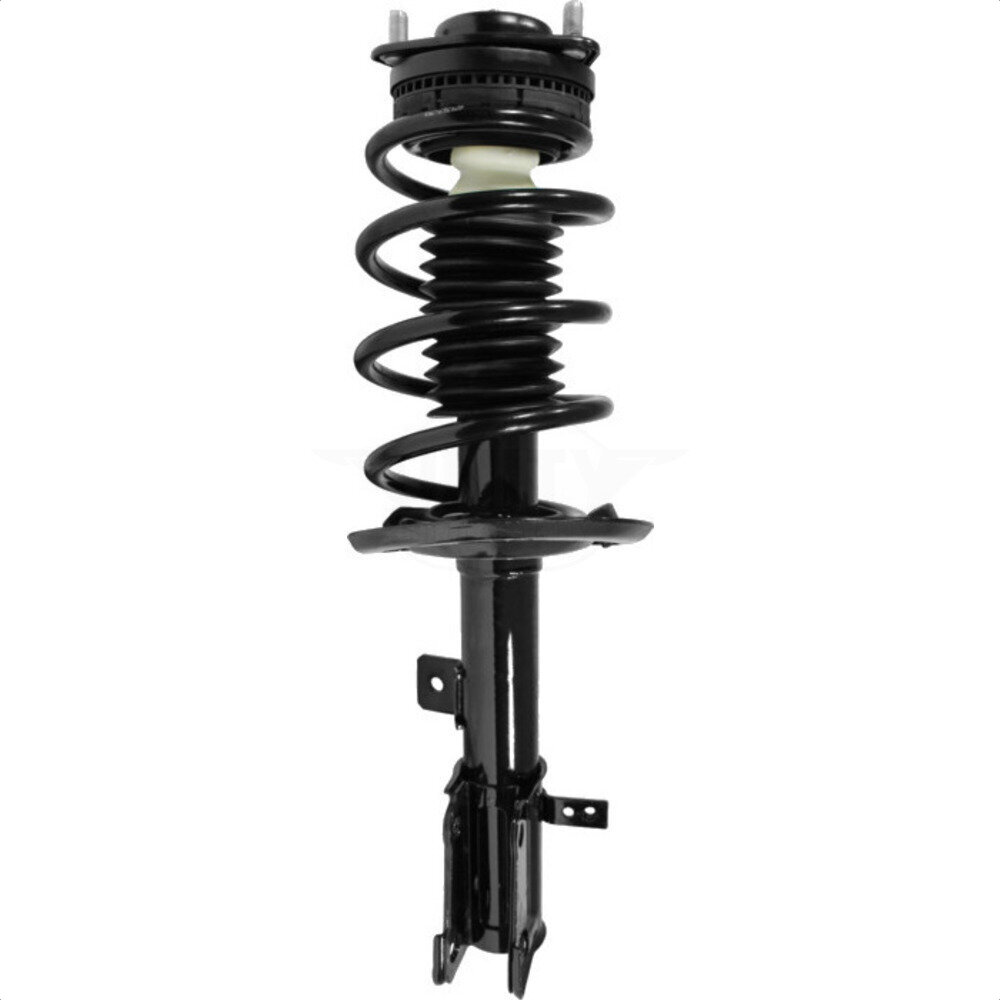 Suspension Strut Coil Spring Assembly